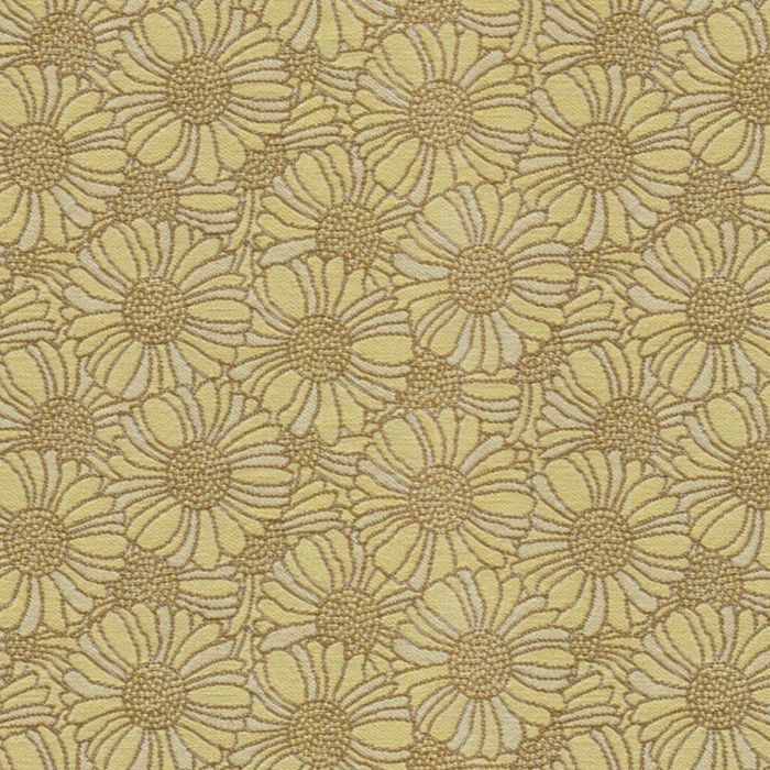 Orakelblume MD445A01