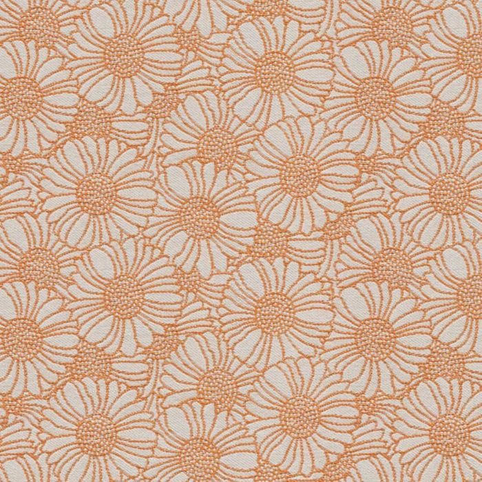 Orakelblume MD445A02
