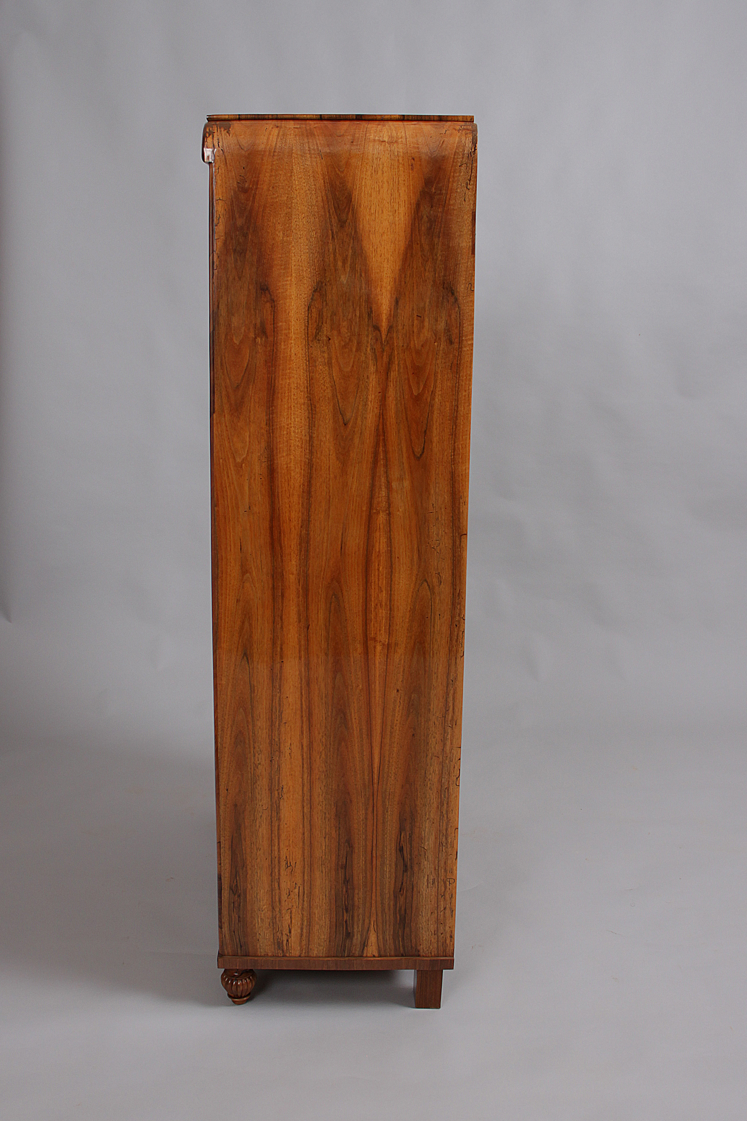 Manžetník pražský biedermeier