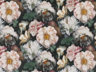 Herbaria Malva