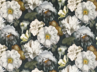 Herbaria Obsidian