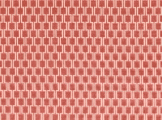 Bakeloo Coral