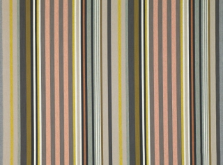 Asher Sorbet