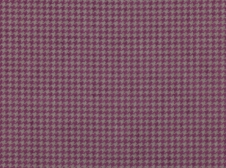 Tremont Boysenberry
